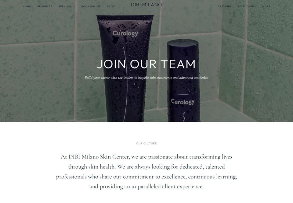 DIBI Milano careers page